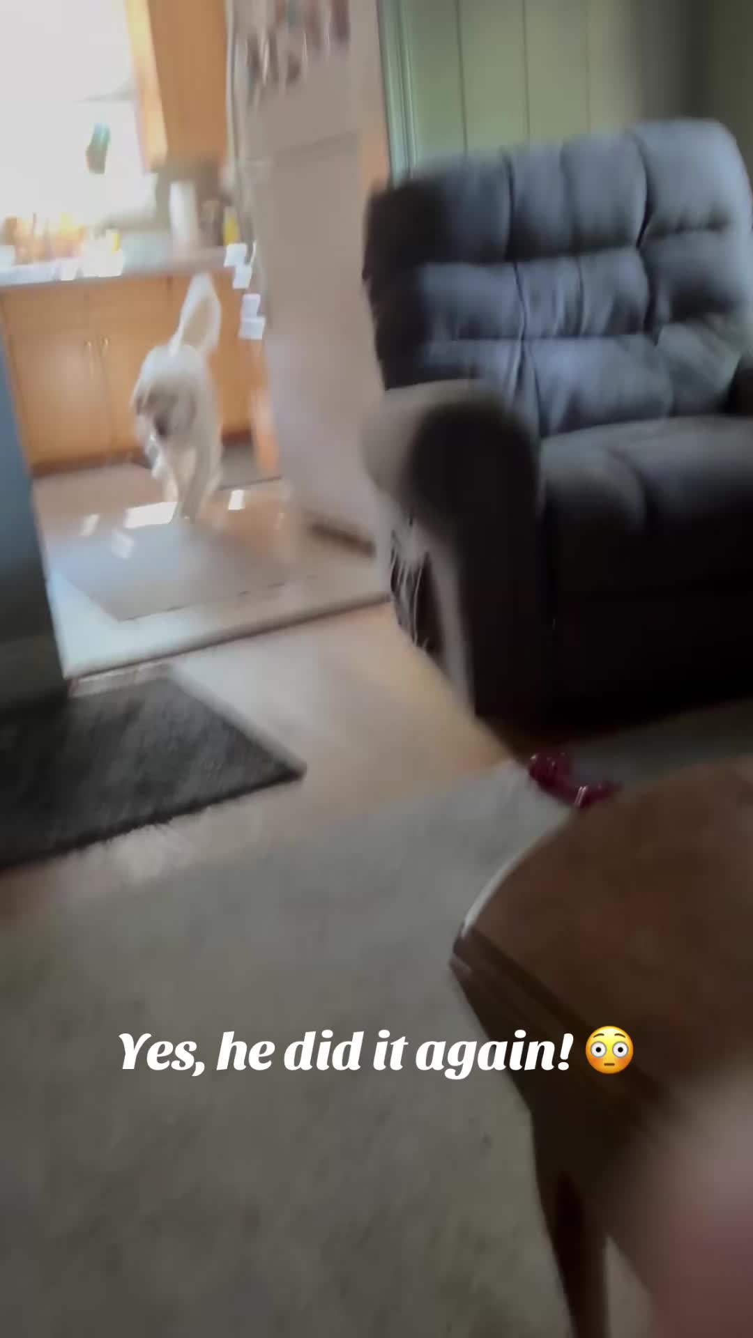 @lifewithduke2025