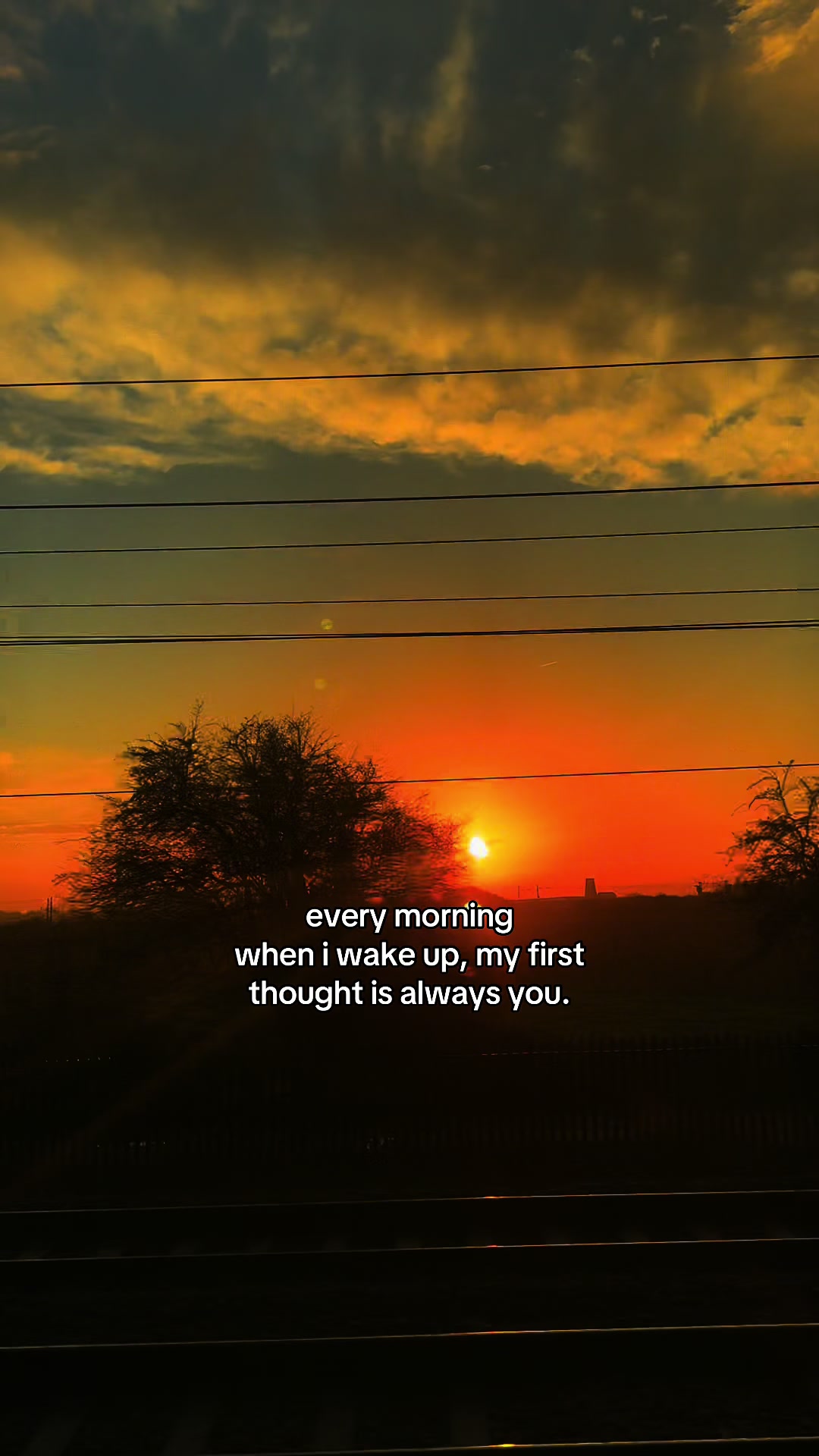 @reel_feels_