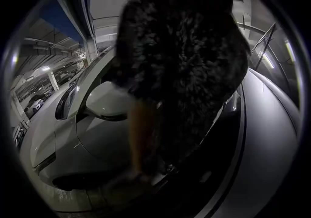 @晃晃悠悠