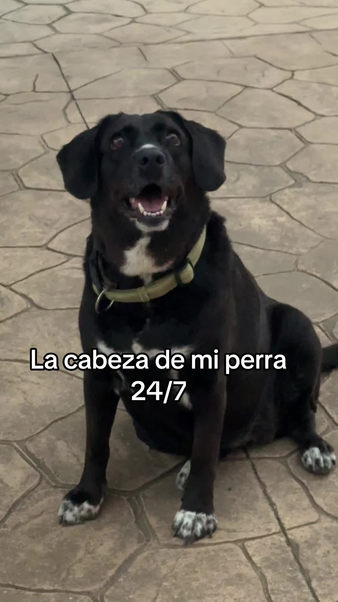 @𝑴𝑨𝑹𝑰𝑨