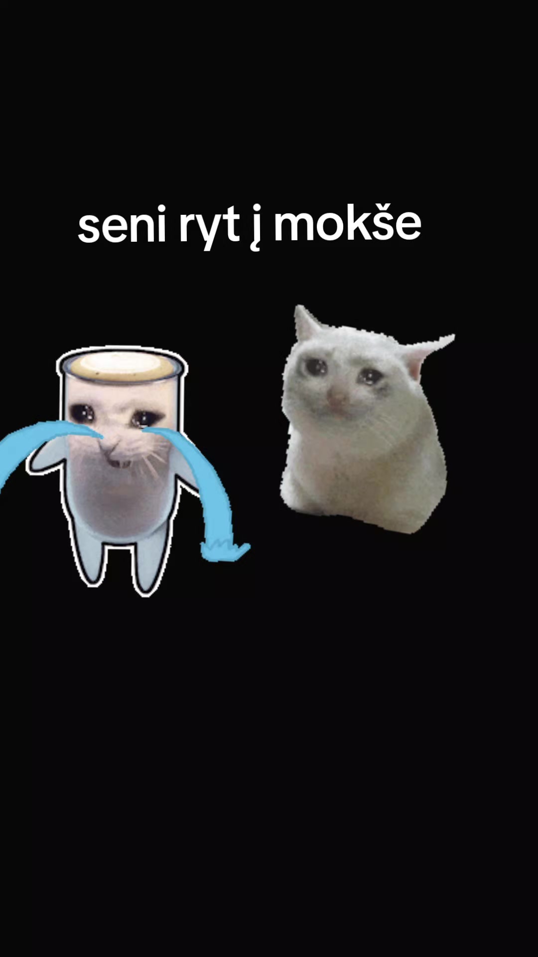 @Tiktokerrr