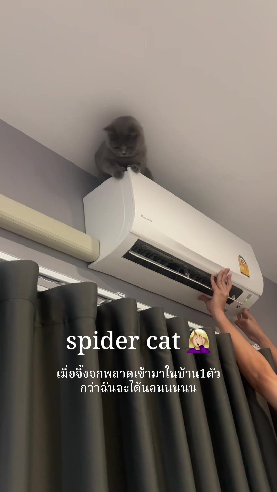 @ชิก้ามีน้องชื่อปลาเผา