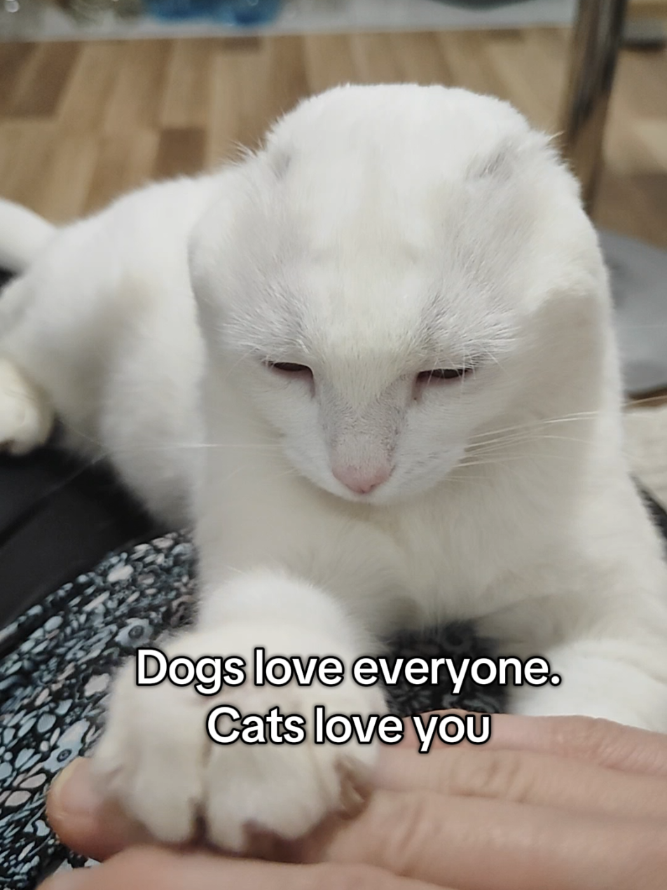 @Fluffy and Pixie