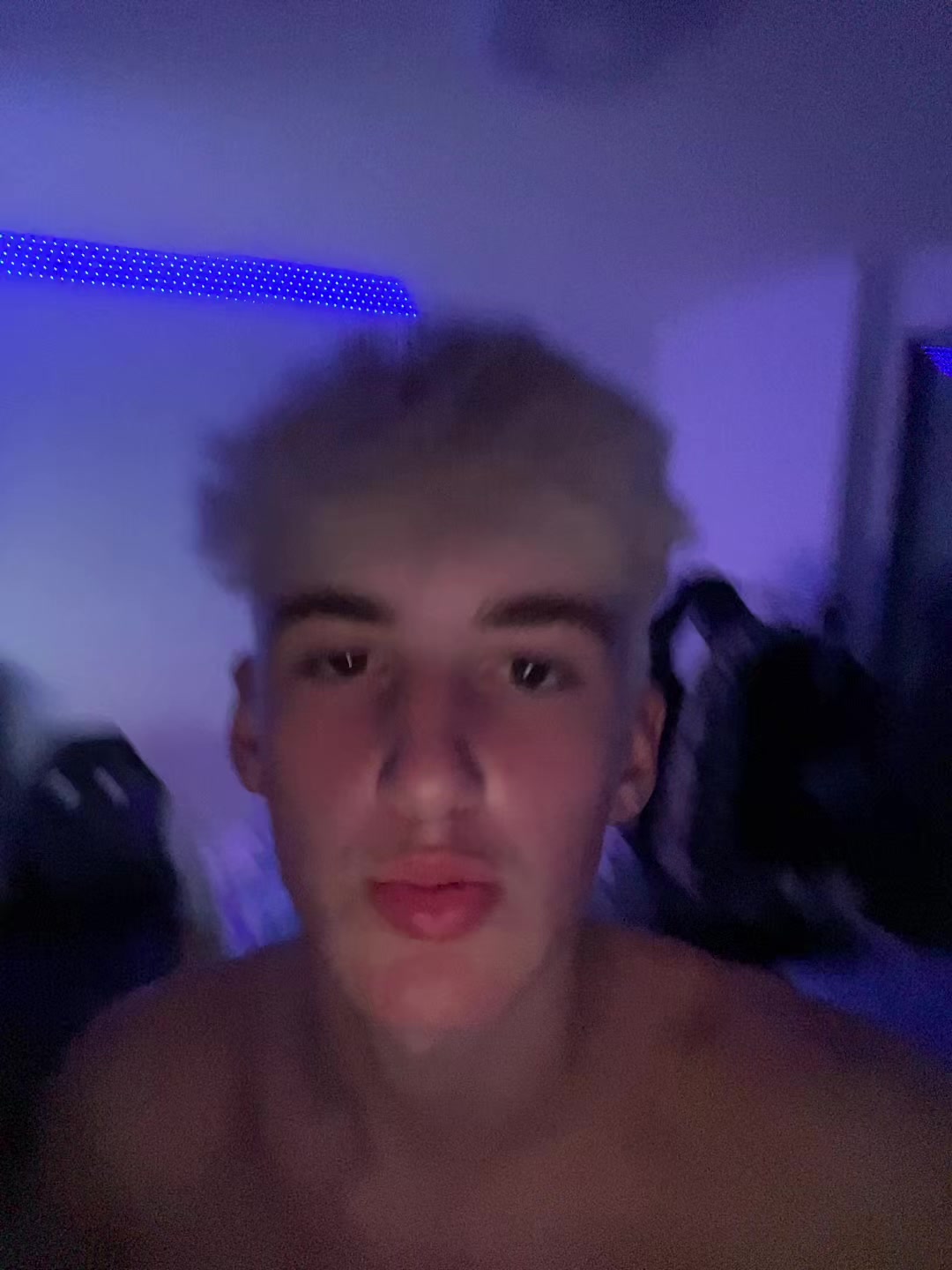 @F A L K O