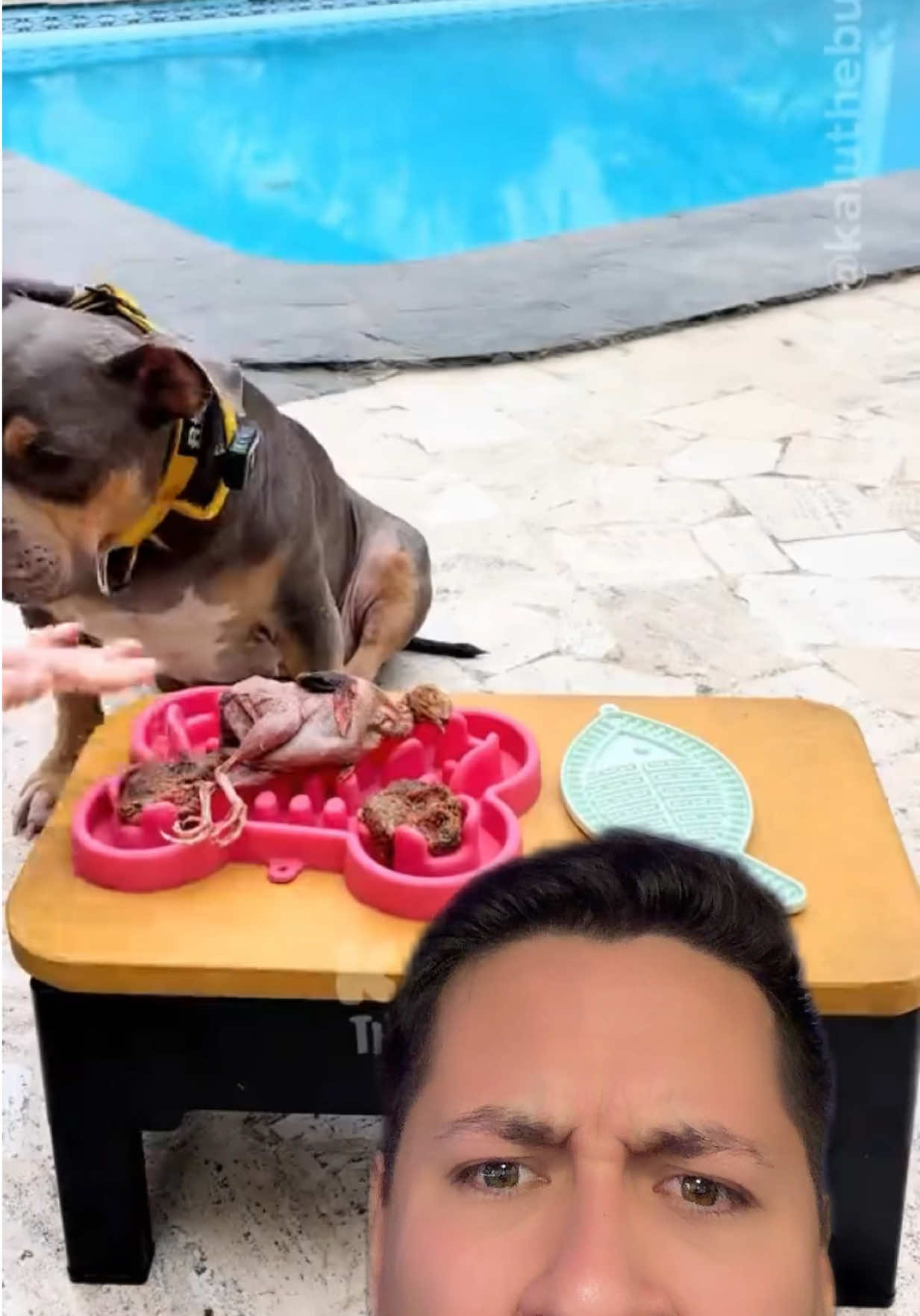 @Antonyviews⚡️