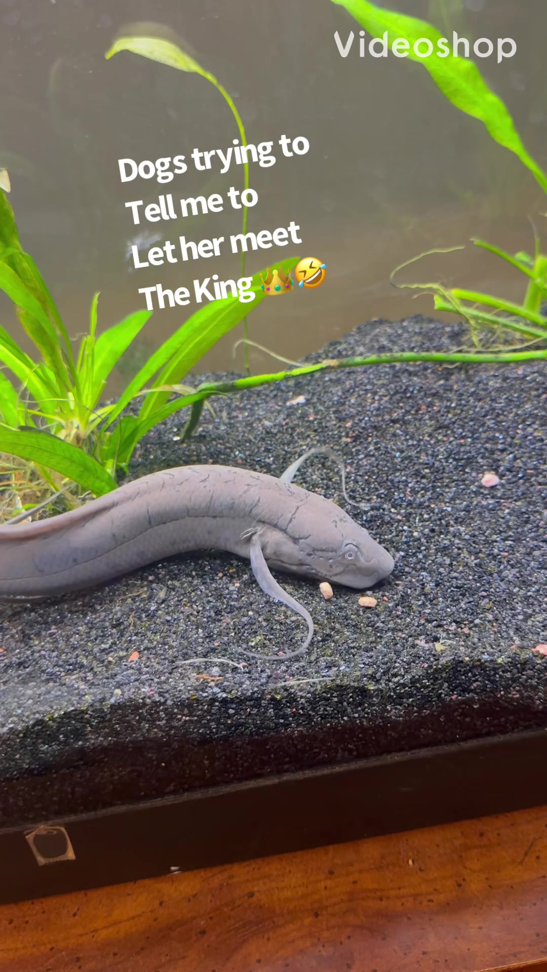 @fishdaddy2002
