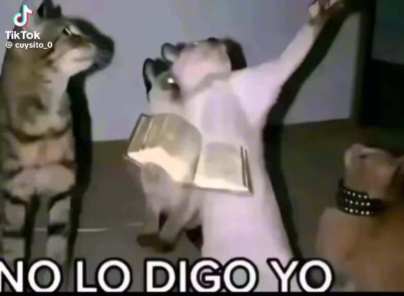 @Gael EDIT