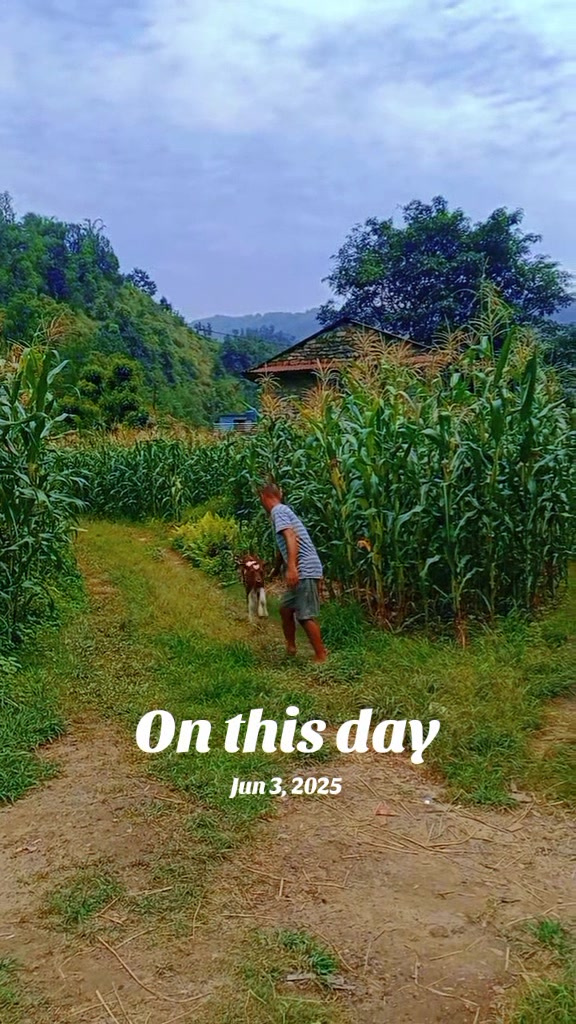 @Krishna Adhikari