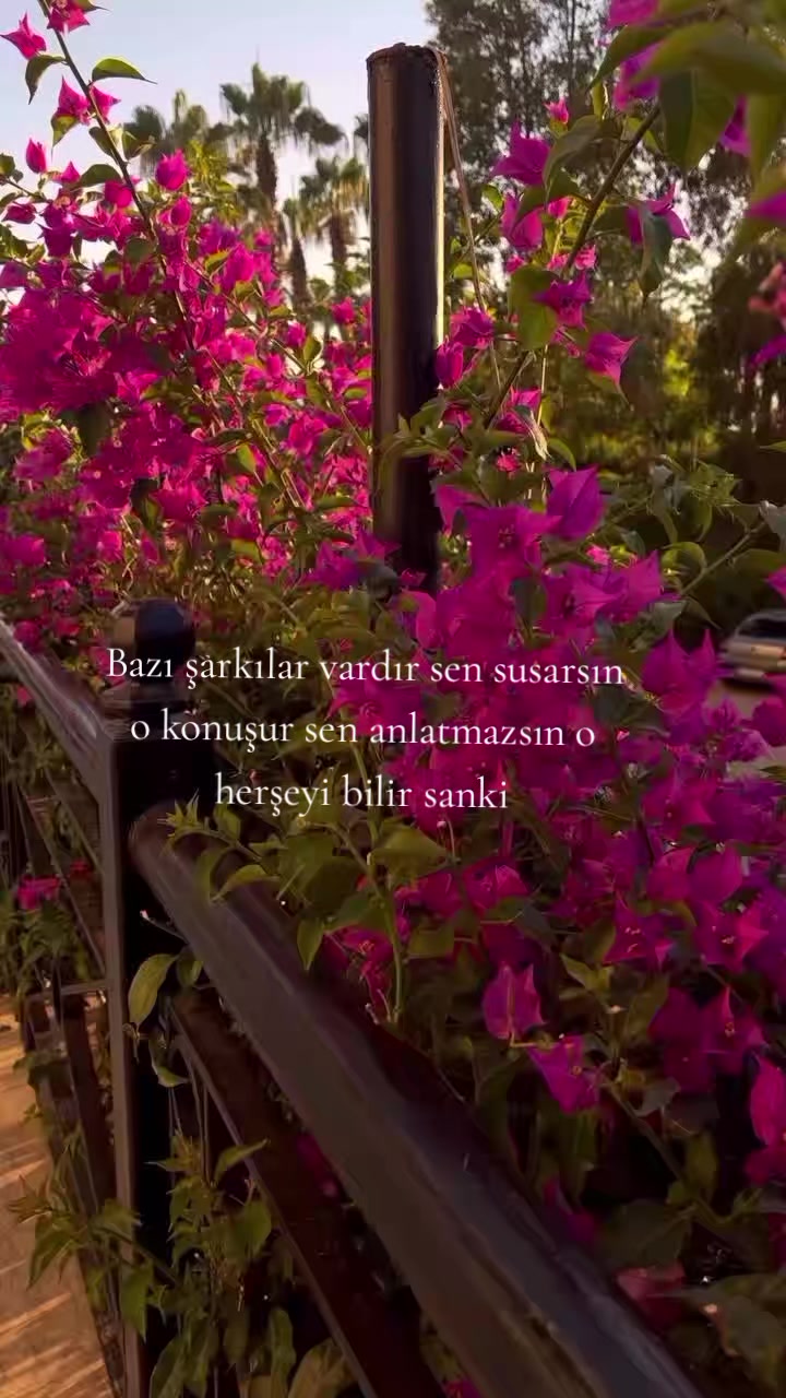 @Zübeyde karakaş 💜💙❤🩵