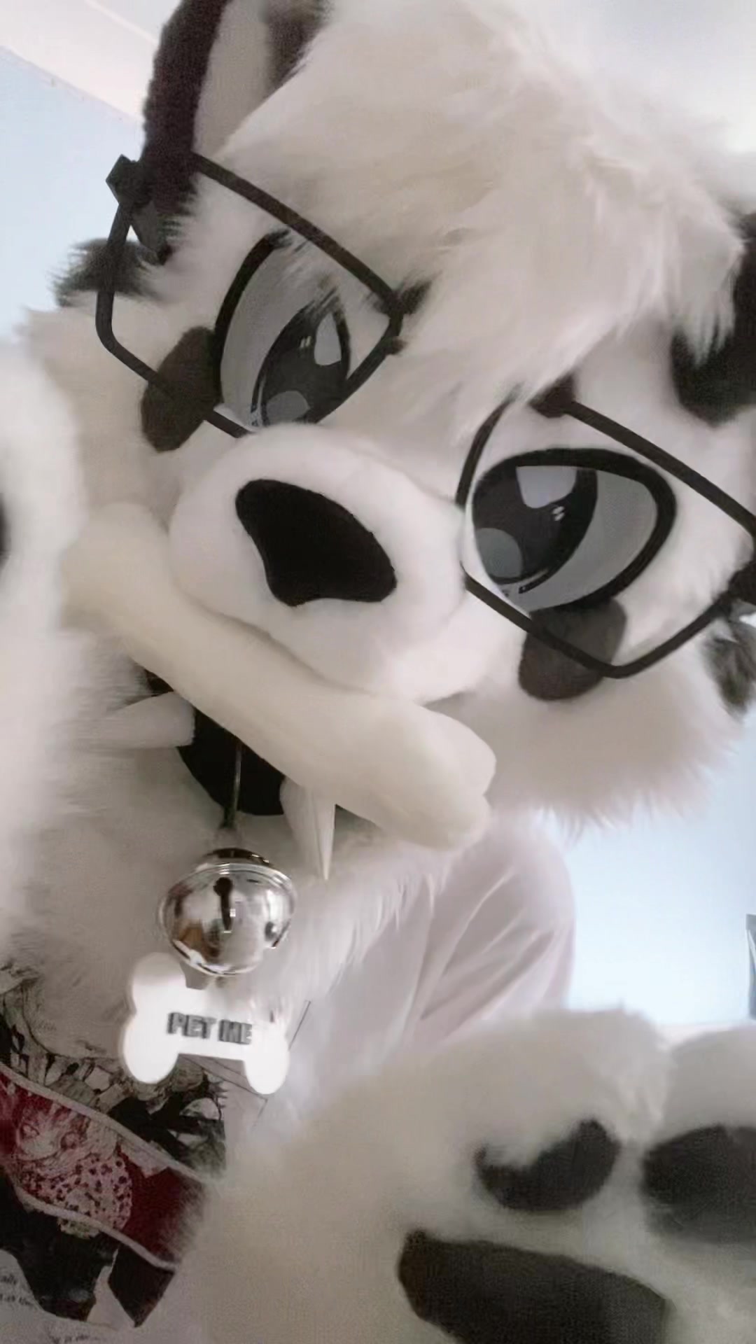 @🎬Lykoi🐾