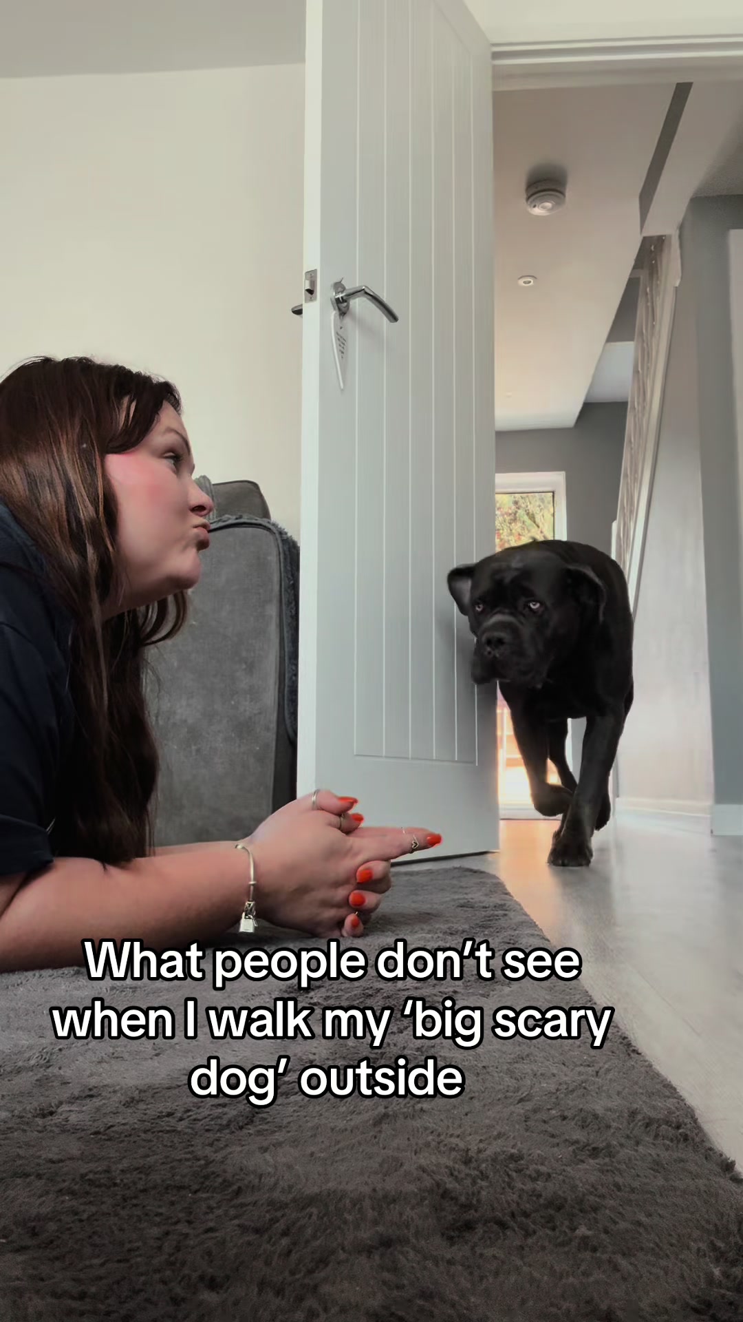 @murphy_the_cane_corso