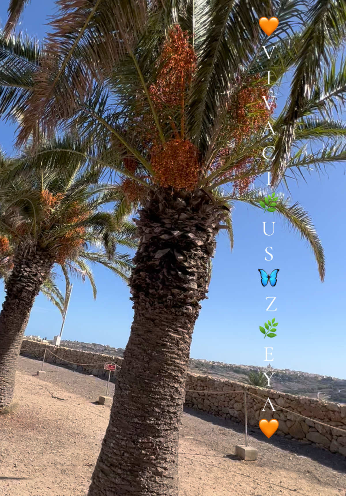 @đŦđ§đ§đŠđZoe¥ađĻALiđđ§đŠđŦđ§