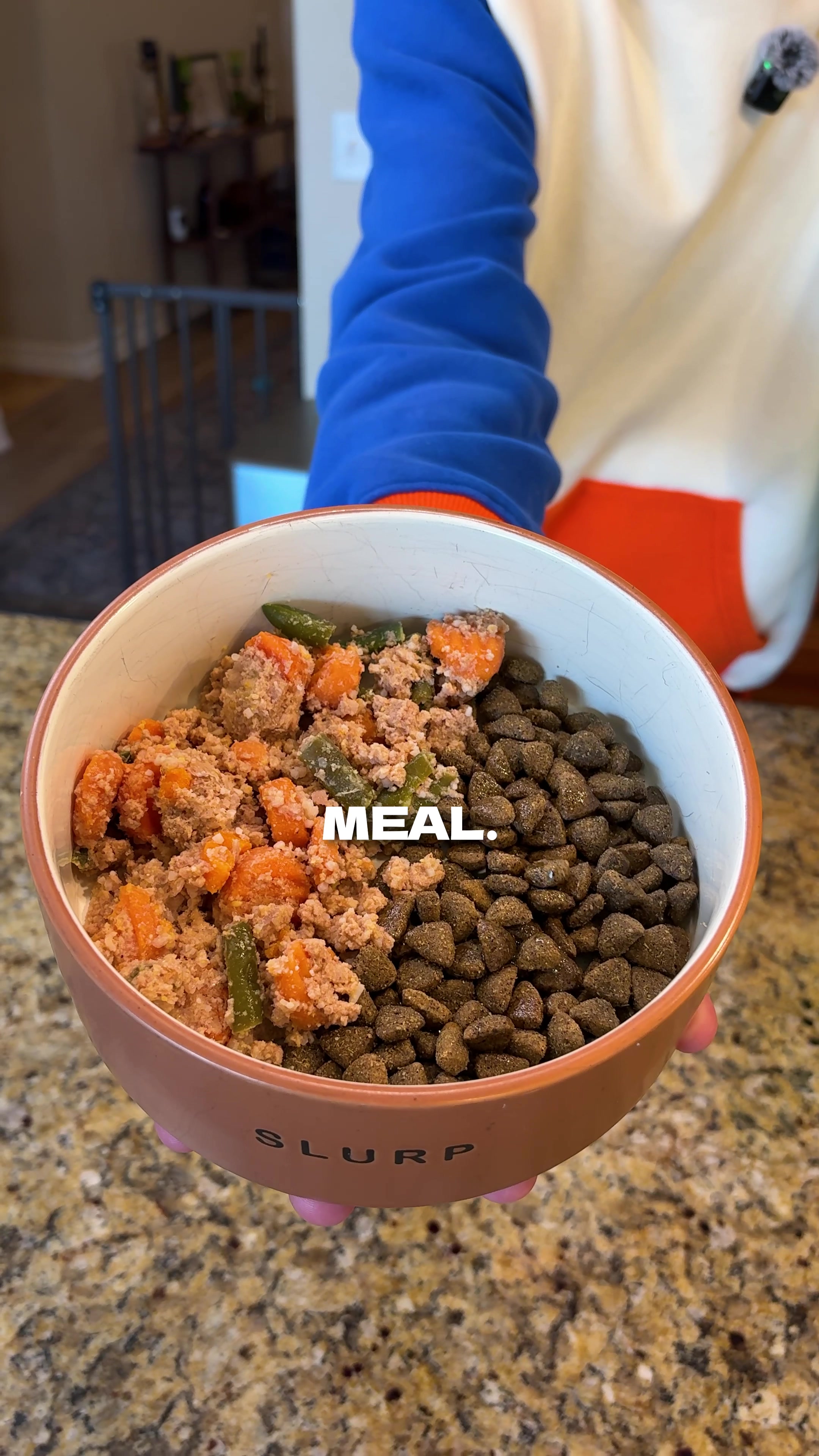 @The BK Pets - Dog Food Tips