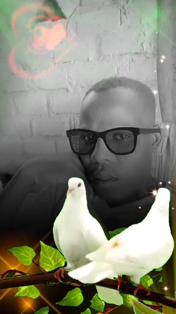 @sime jawil
