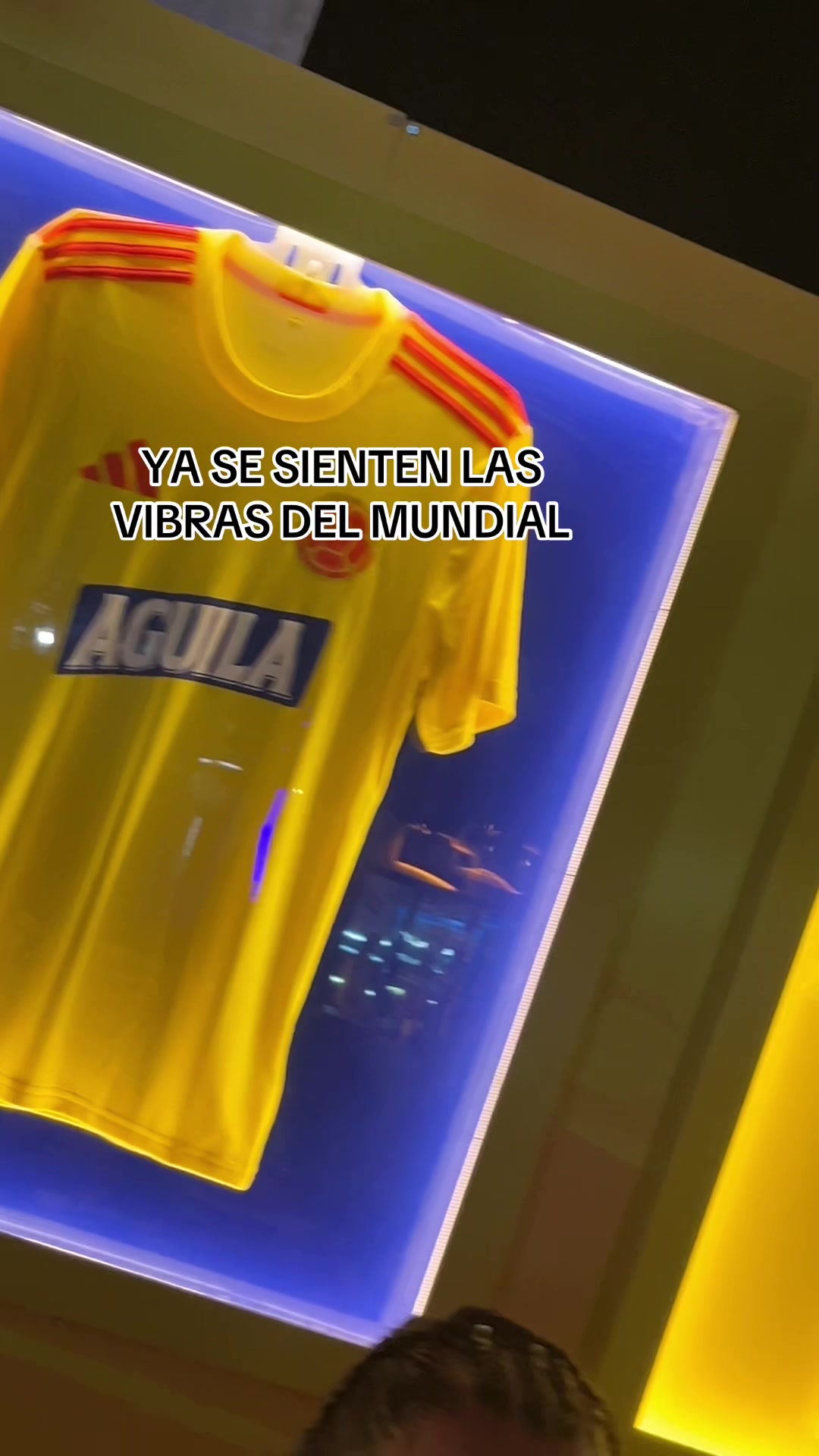 @Lina Marcela Bulla T