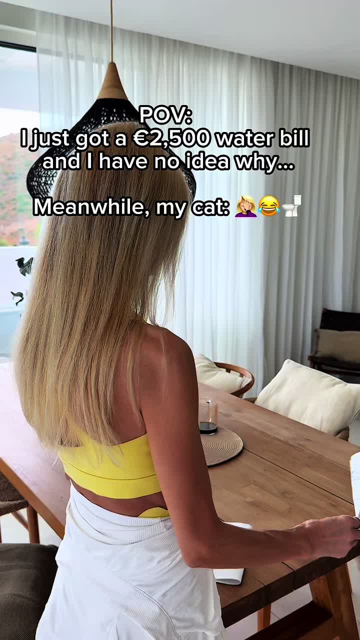 @Mitay_cat