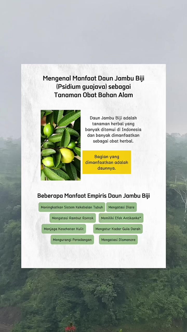 @PABRIK MAKLON HERBAL ALBIRUNI