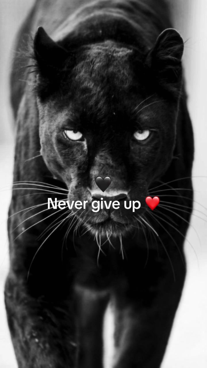 @EsztiCat🩷