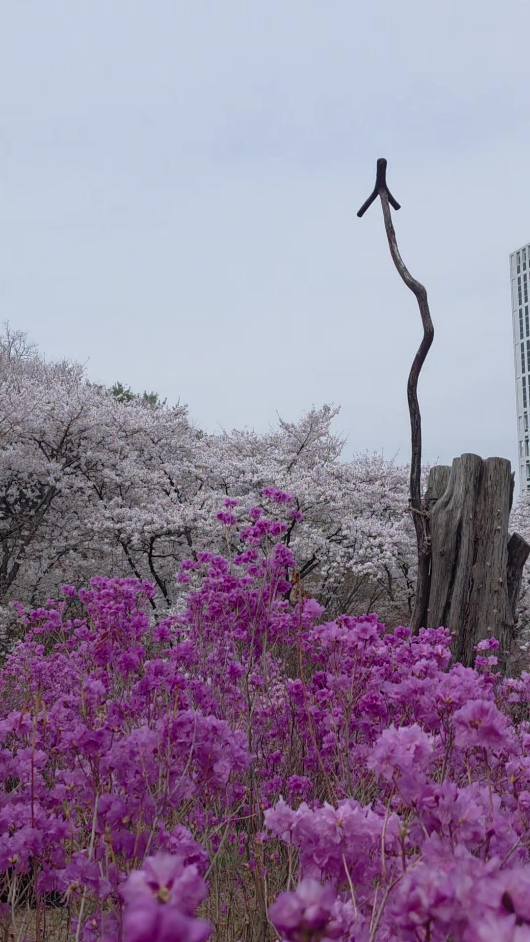 @그대여