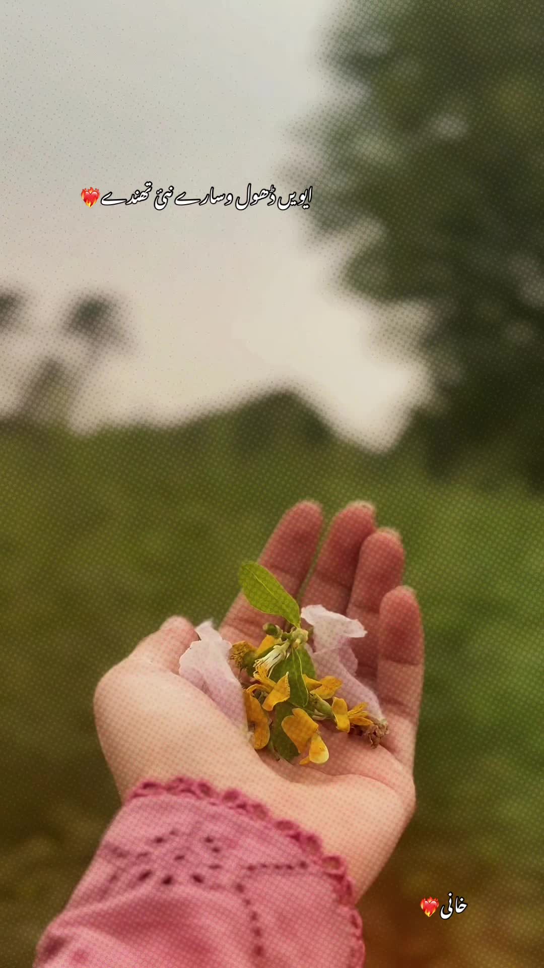 @خانی❤️🔥