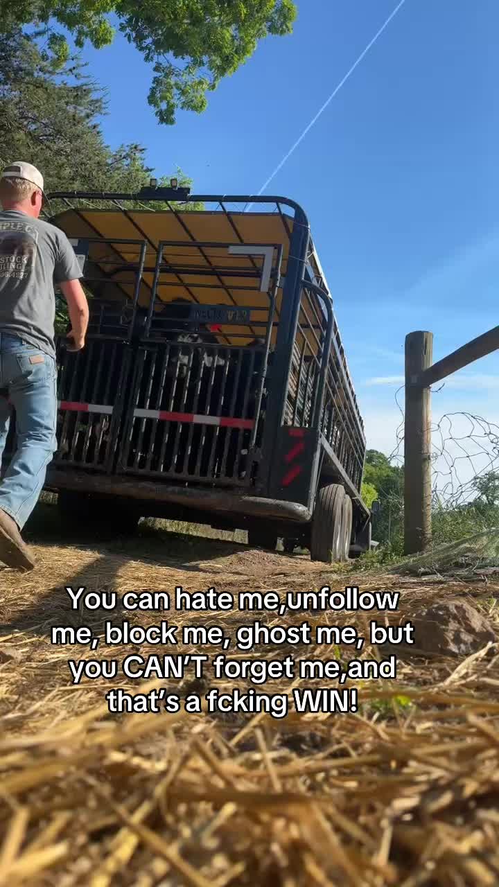 @tripleclivestock