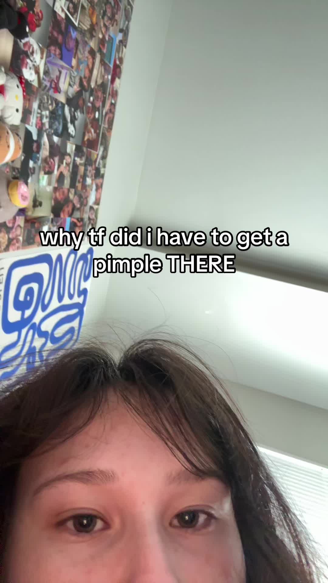 @$VG 🐅🤍🪭