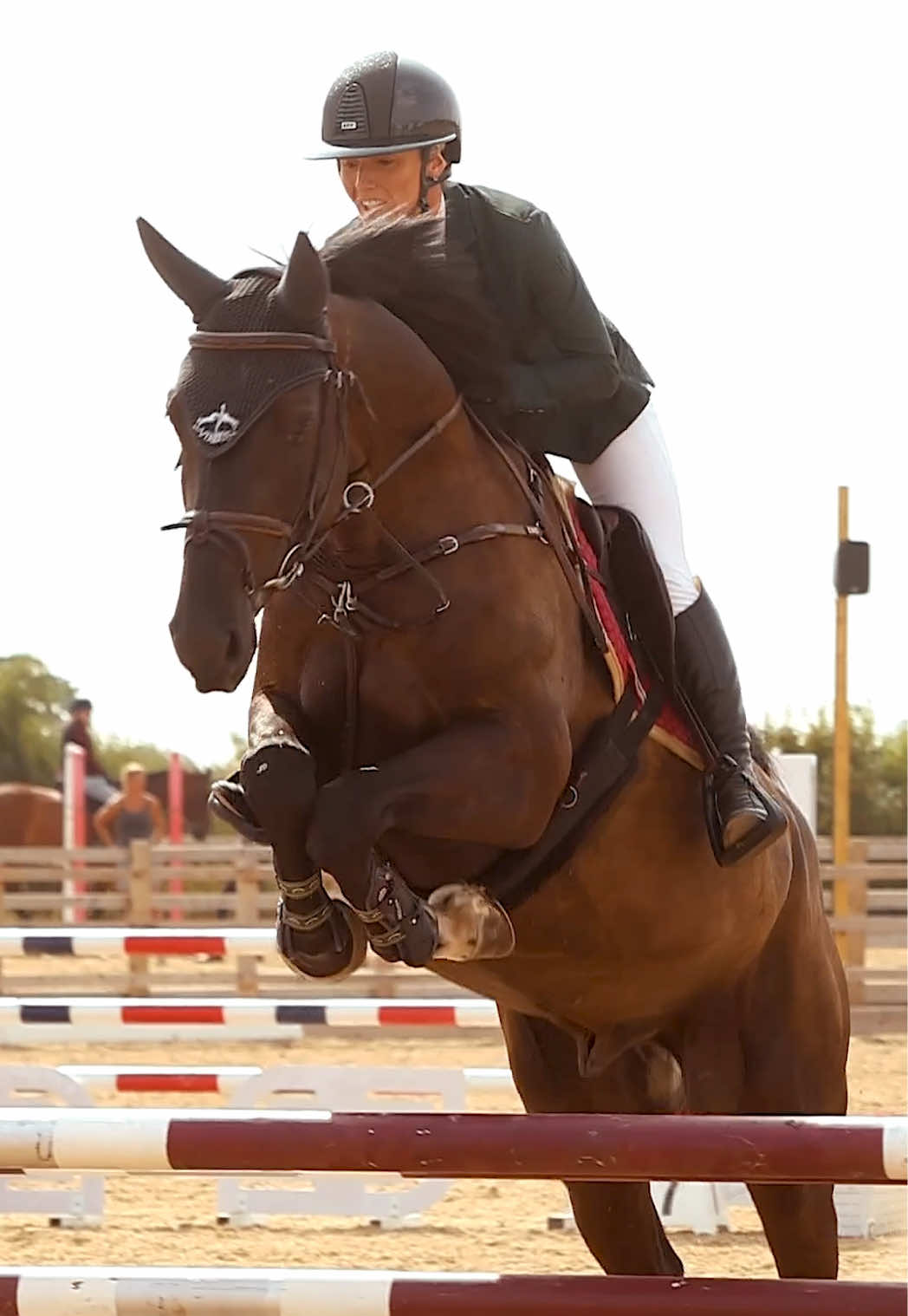 @Lucy Struthers Horses