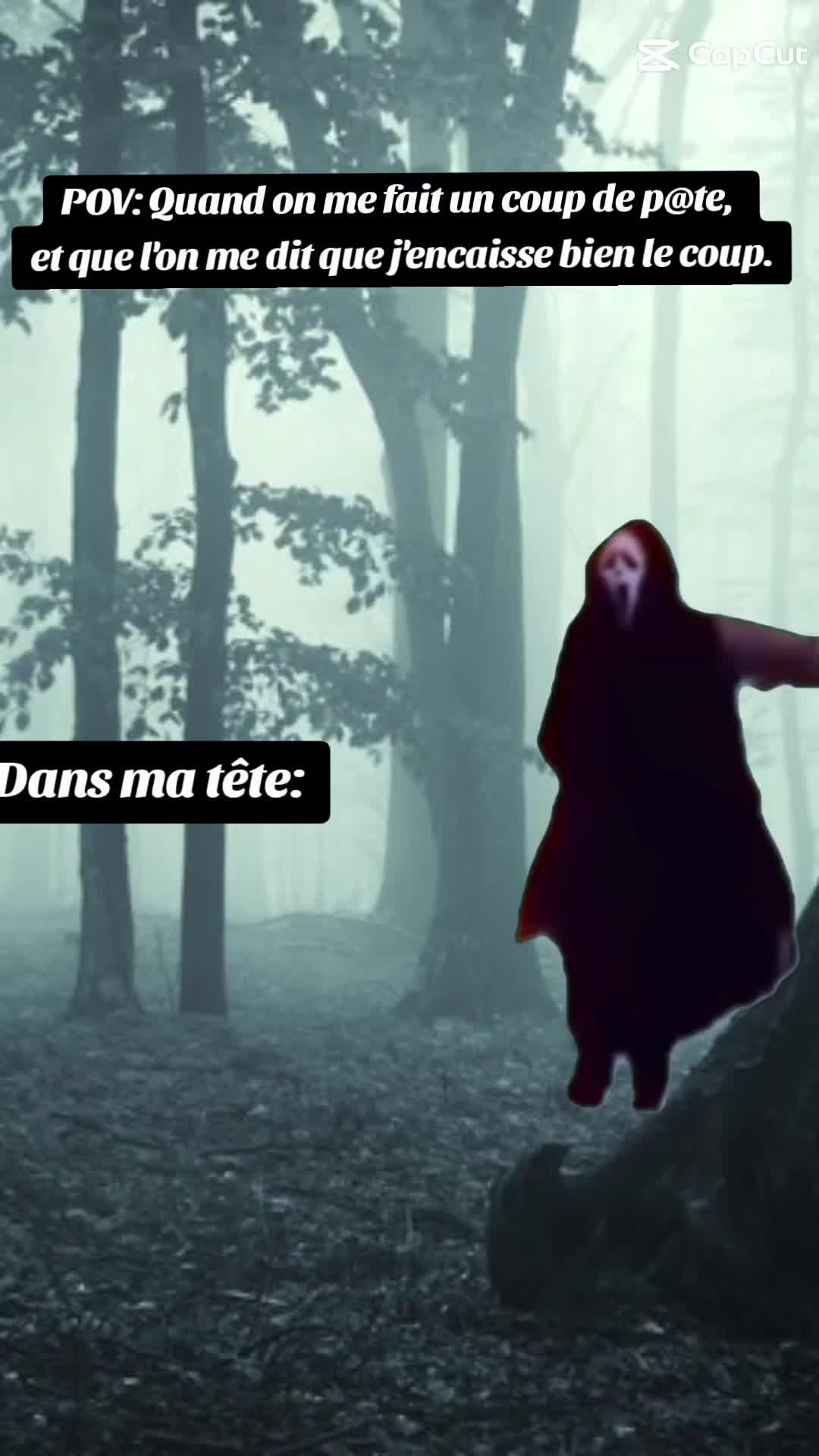 @MoietMavie 🇫🇷