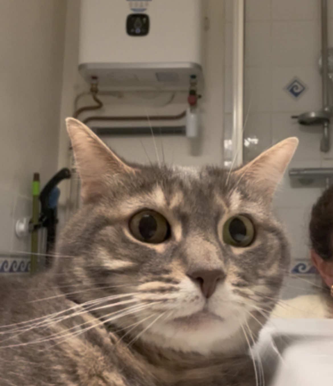 @Le_drama.cat 🇫🇷