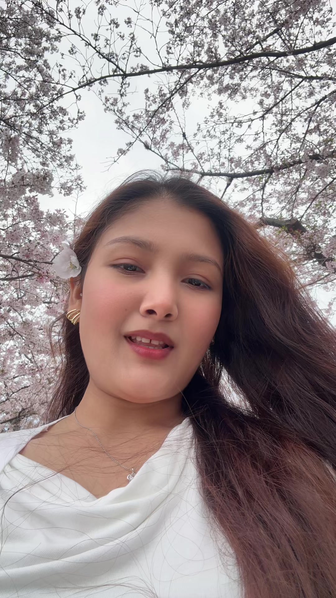 @Bipana Adhikari