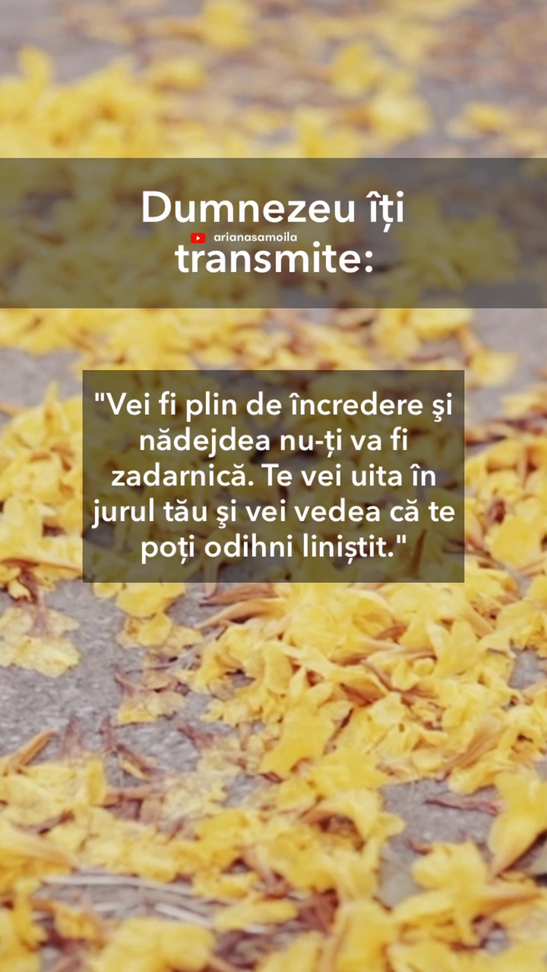 @Ariana Samoilă