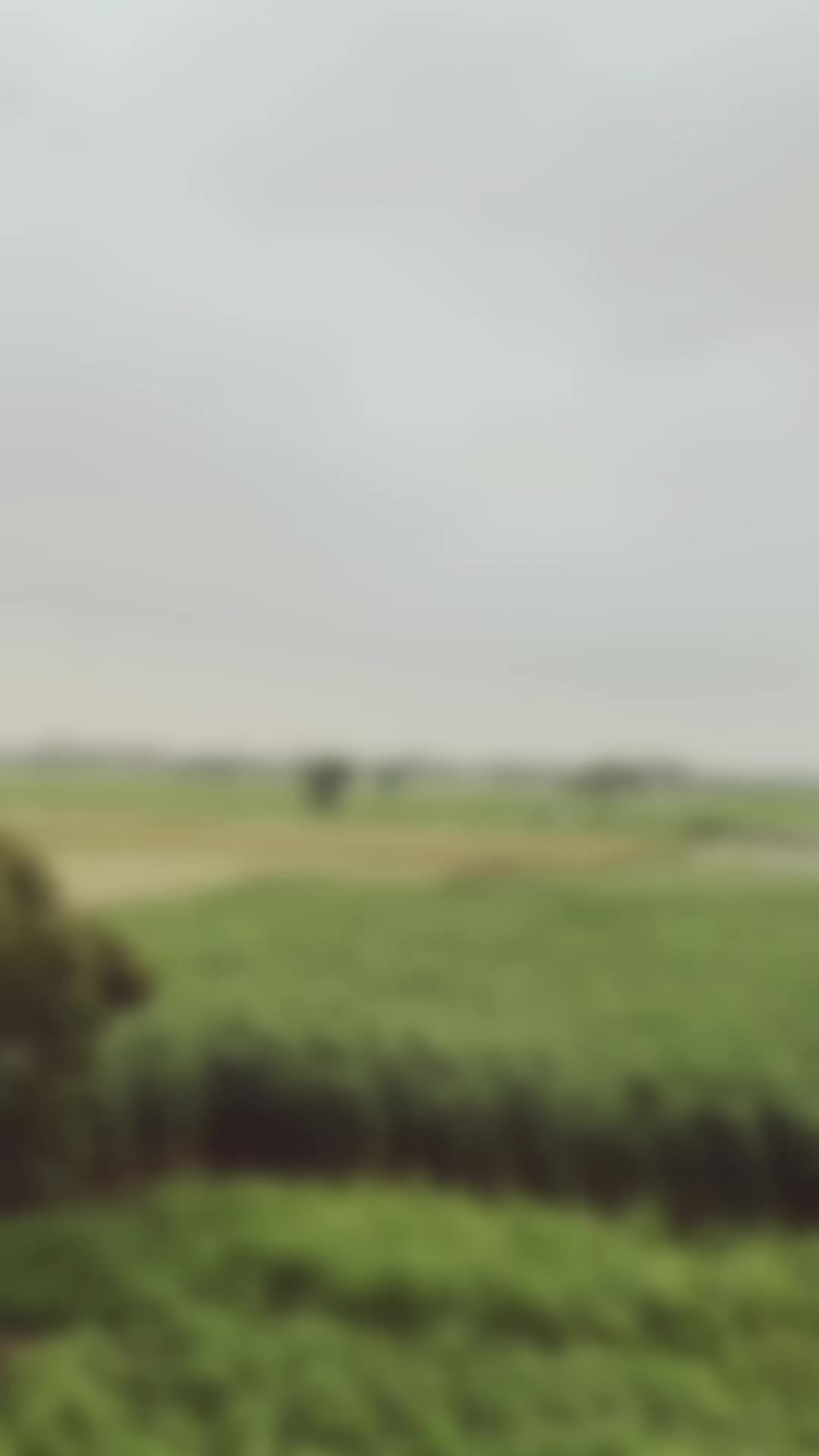 @✩ ᴍᴏʜꜱɪɴ ᴇᴅɪᴛꜱ ✩