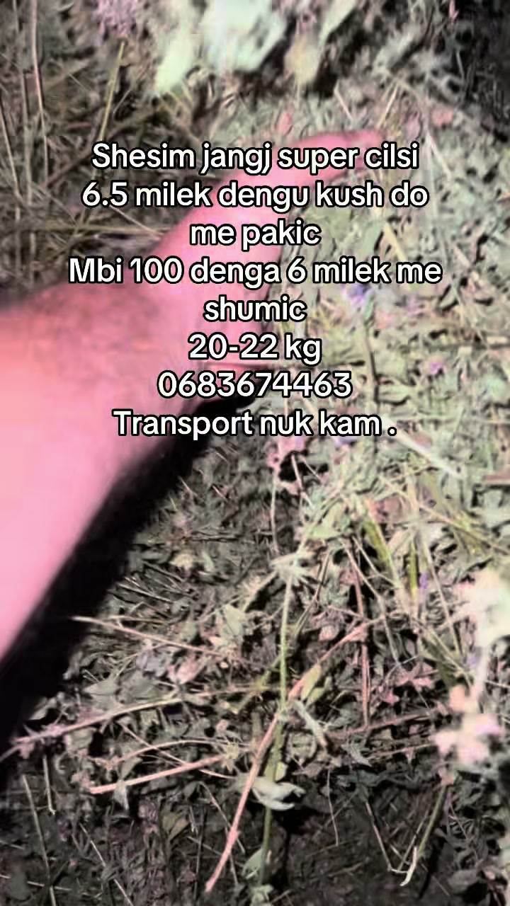 @AgroTradeAlbania
