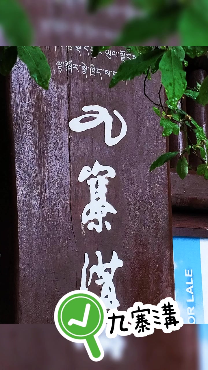 @浮生若夢