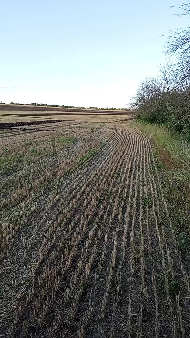@килька