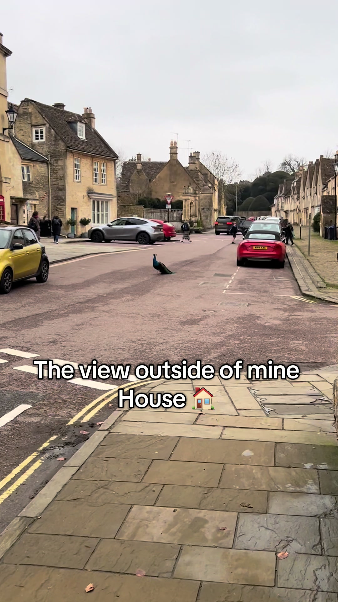 @🇧🇩Minhaz🏴