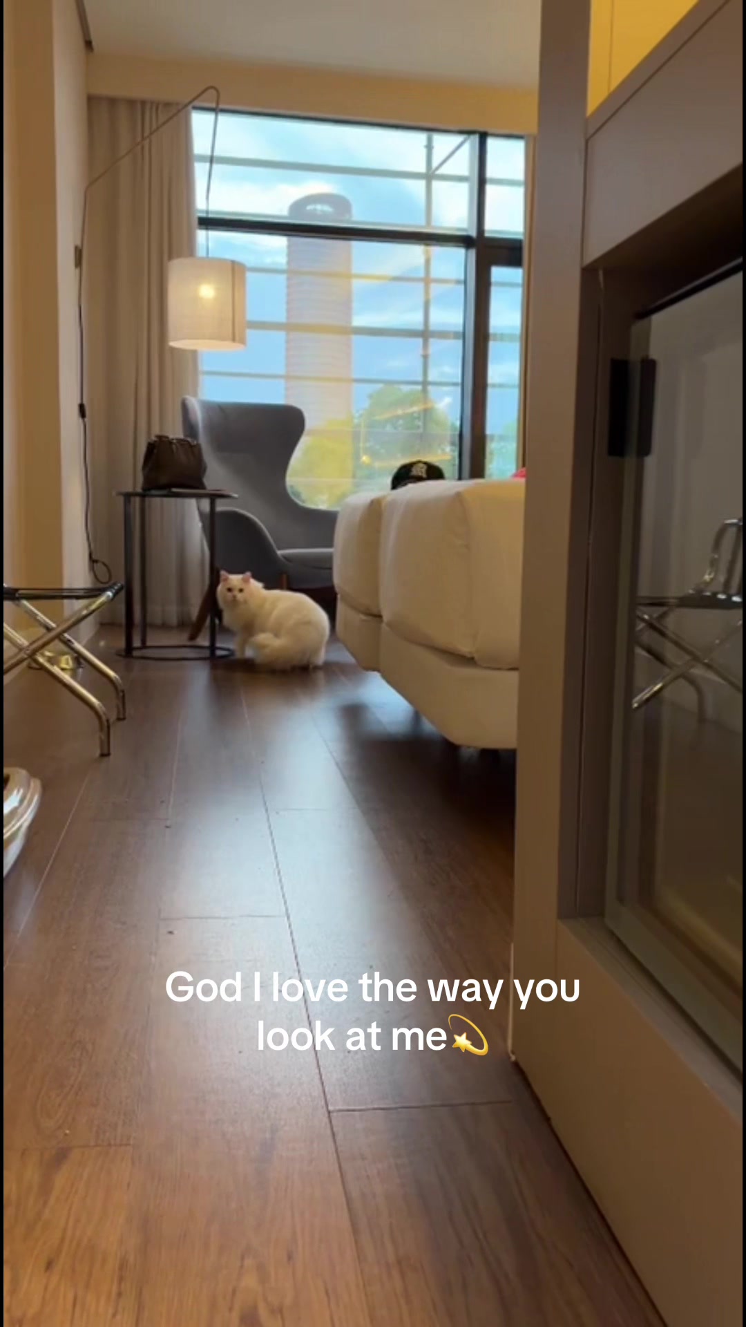 @Thalía🪷