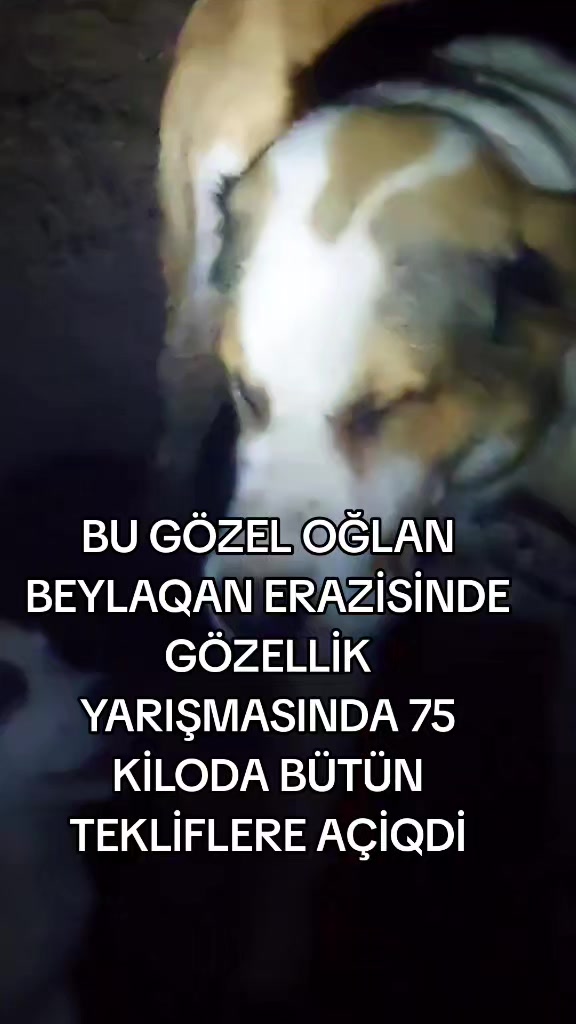 @Elşad__007