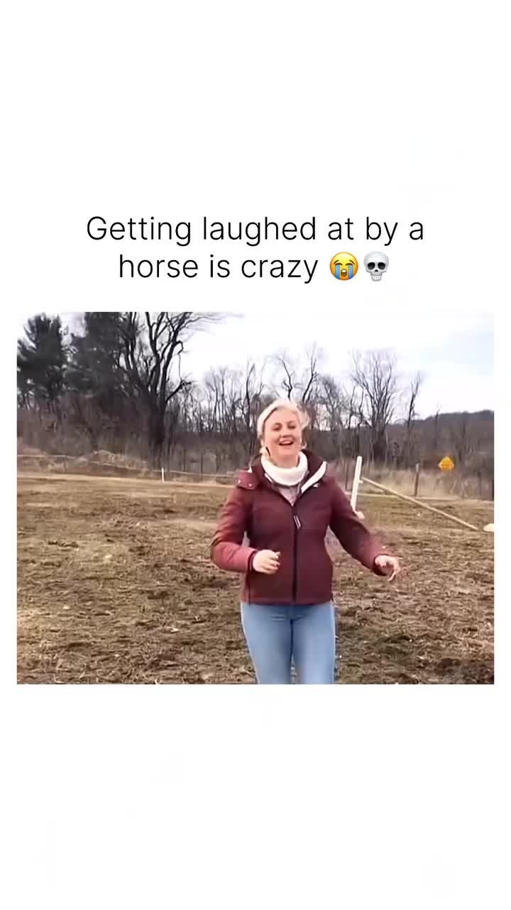 @Horses TikTok
