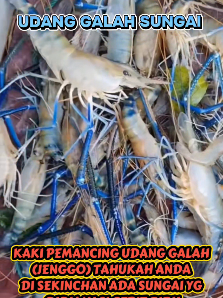 @Nadzri Shah79