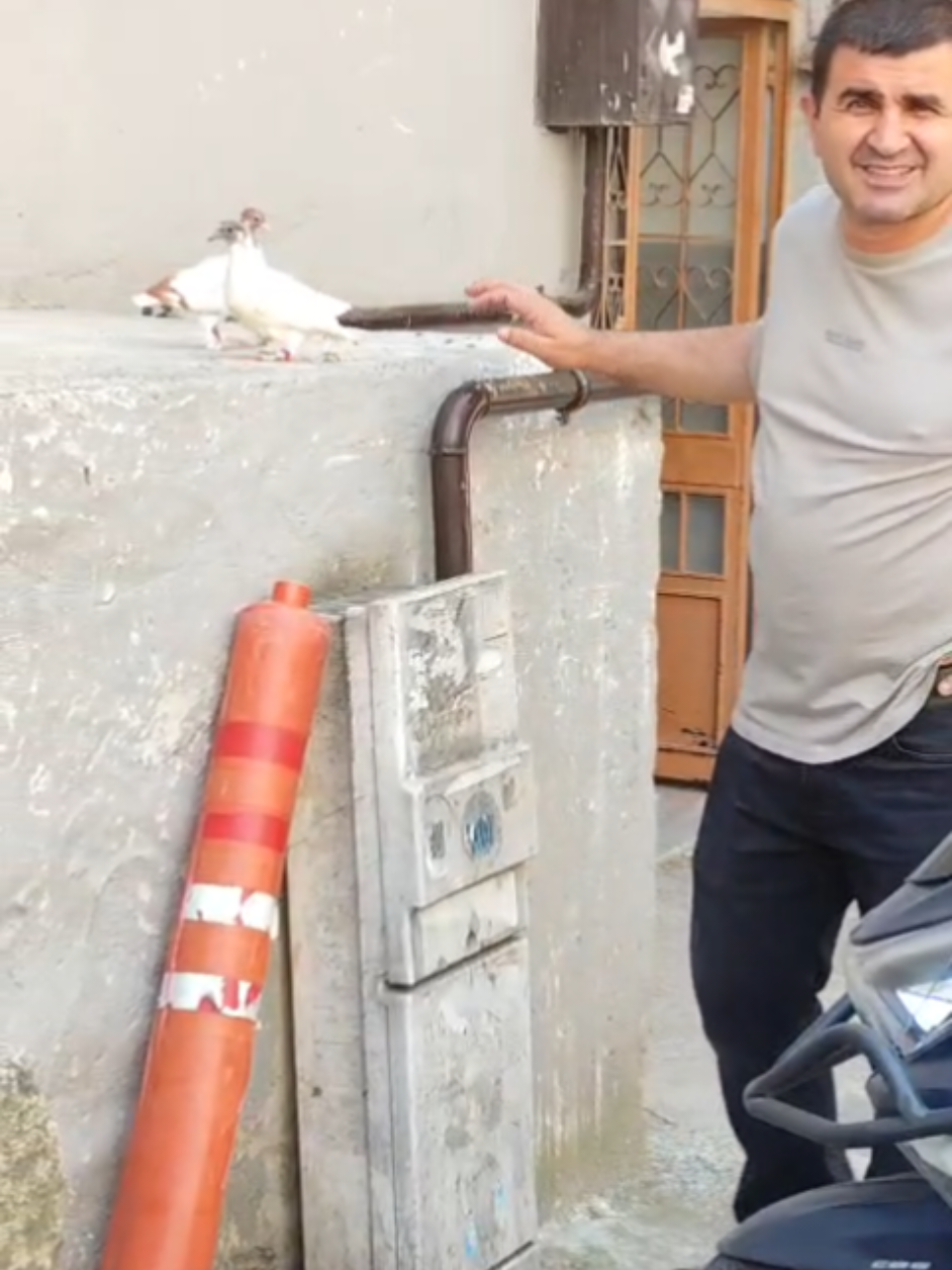 @Erkan Bey 24
