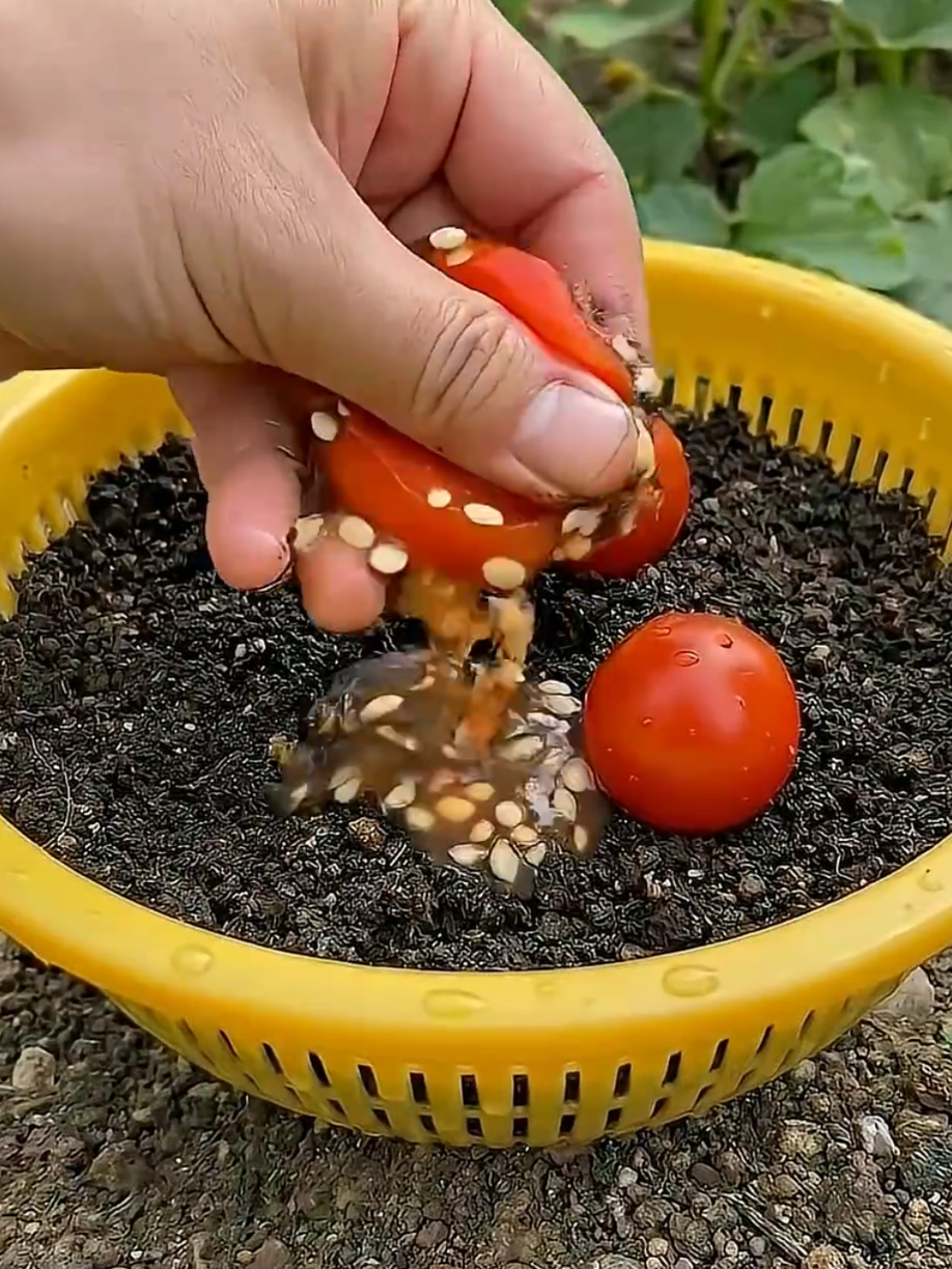 @PlantsLife