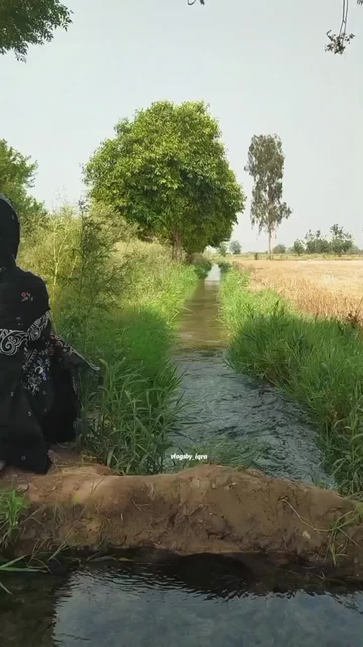 @Iqra