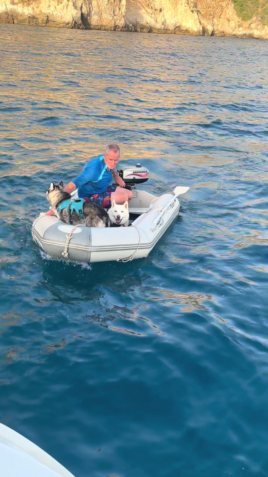 @BoatVet