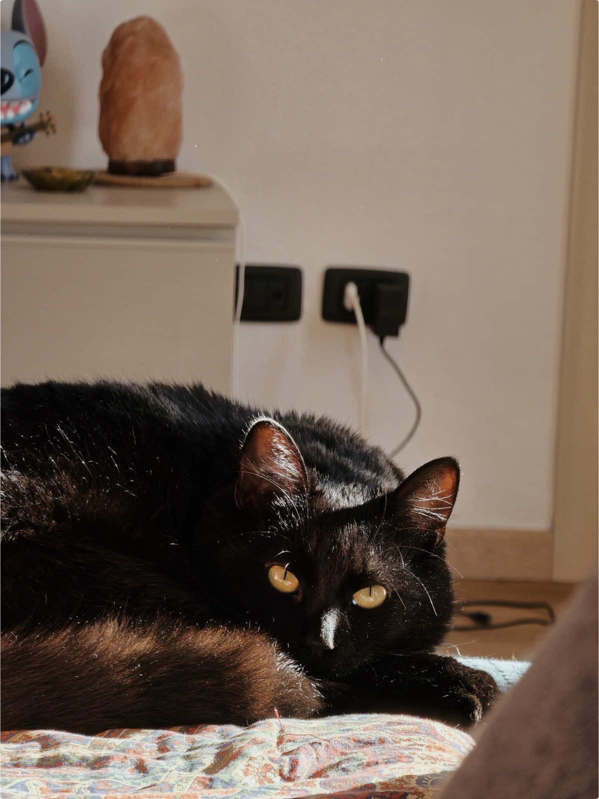@Giada🐈⬛🖤