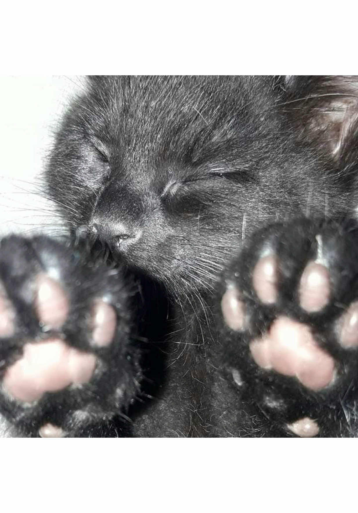 @дертидарина💤