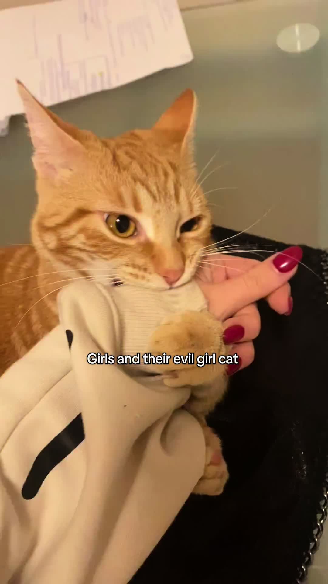@Sara🤠