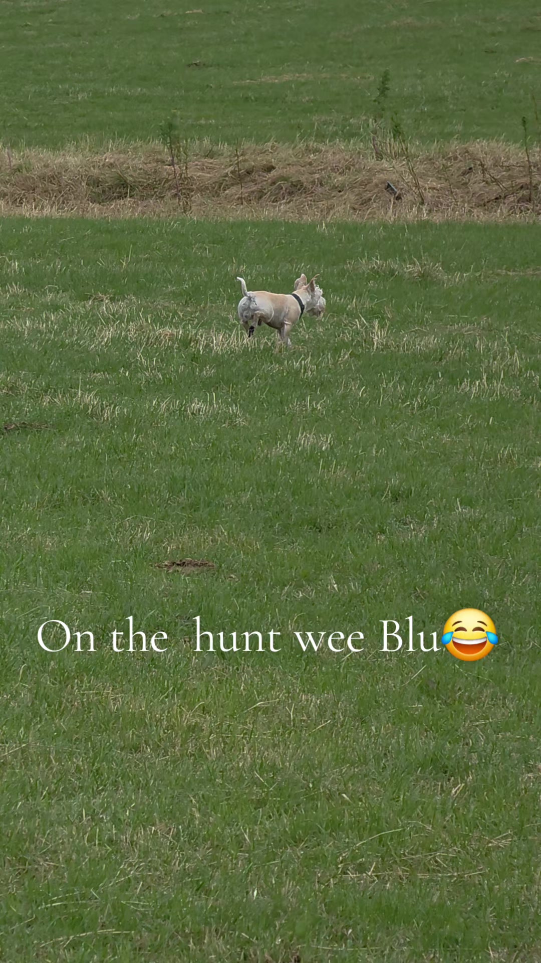 @Seamie 11 11