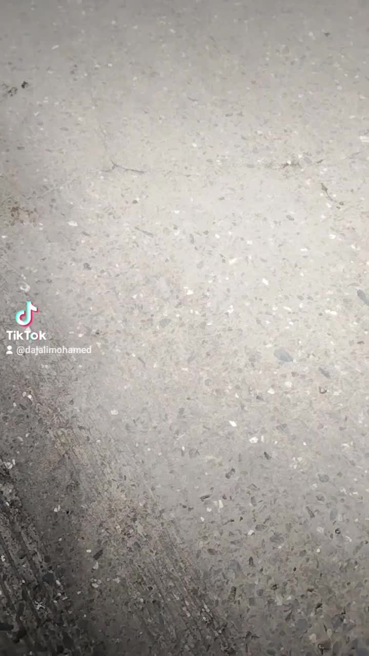 @𝕄𝕠𝕙𝕒𝕞𝕞𝕖𝕕_42_