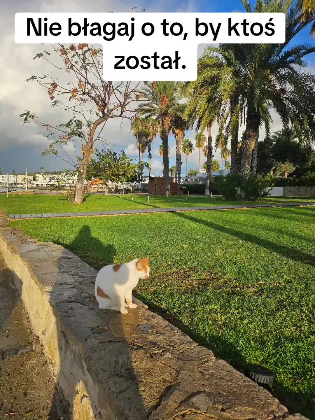 @Śladami Zebry